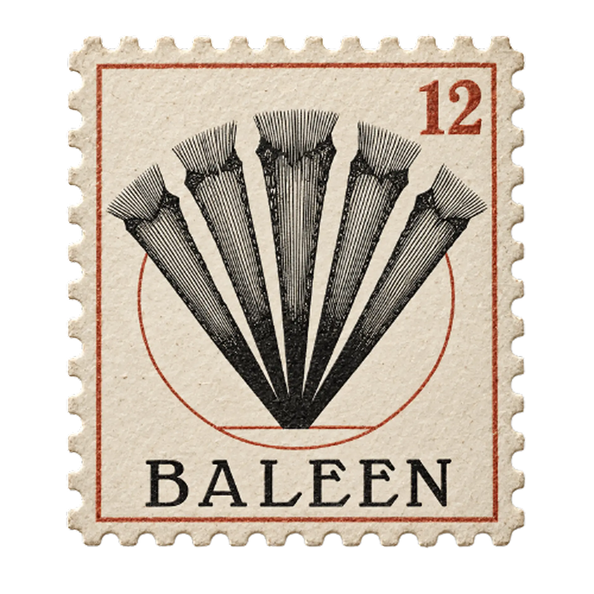 Baleen plate specimen stamp
