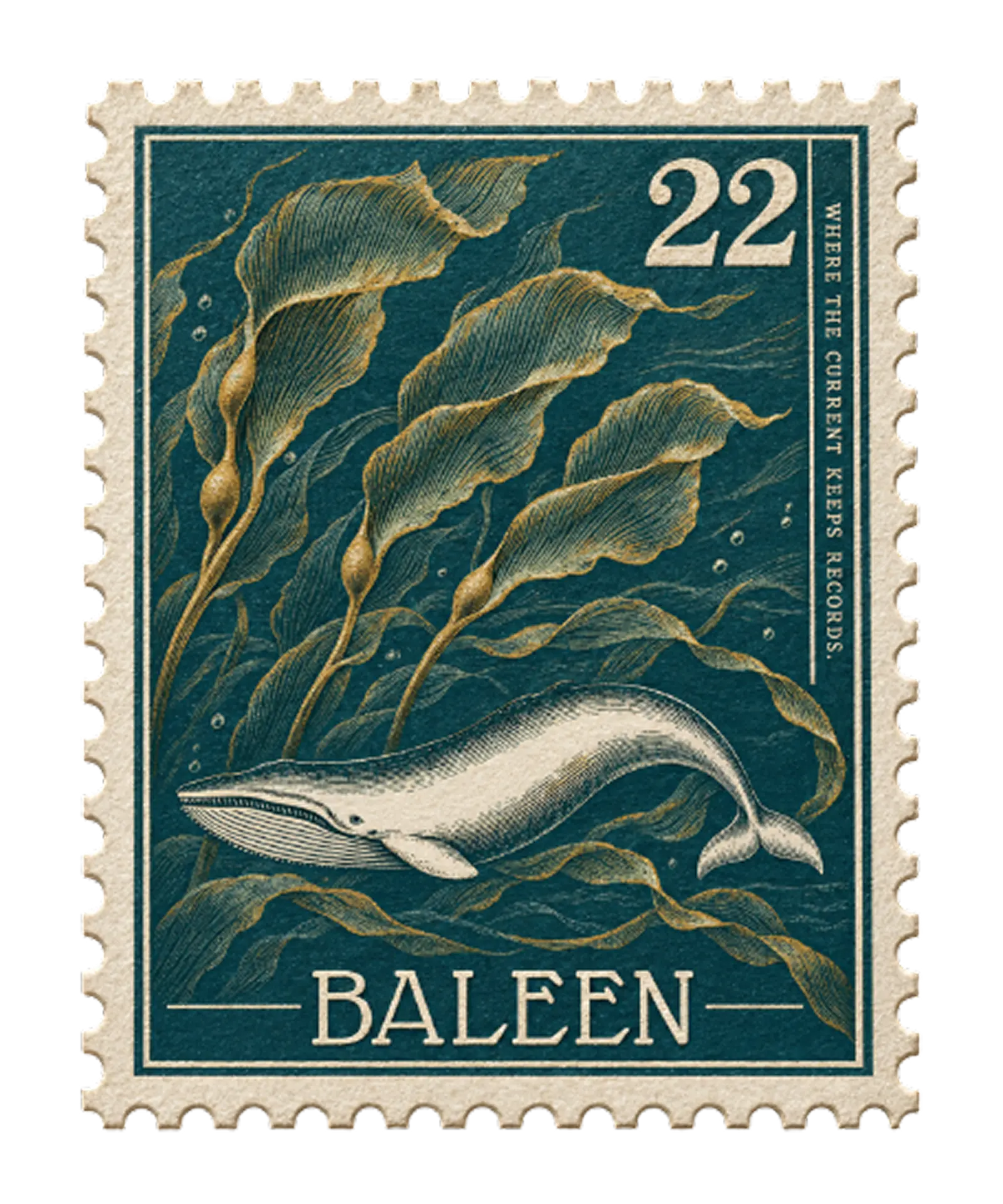 Kelp and current stamp